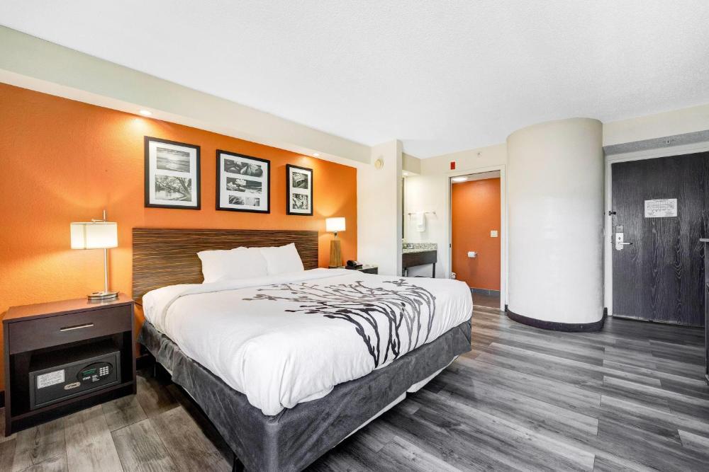 King Room - Non-Smoking interior